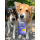 SOS Hunde-Rettungsdecke -  Sicher, einfach, schnell